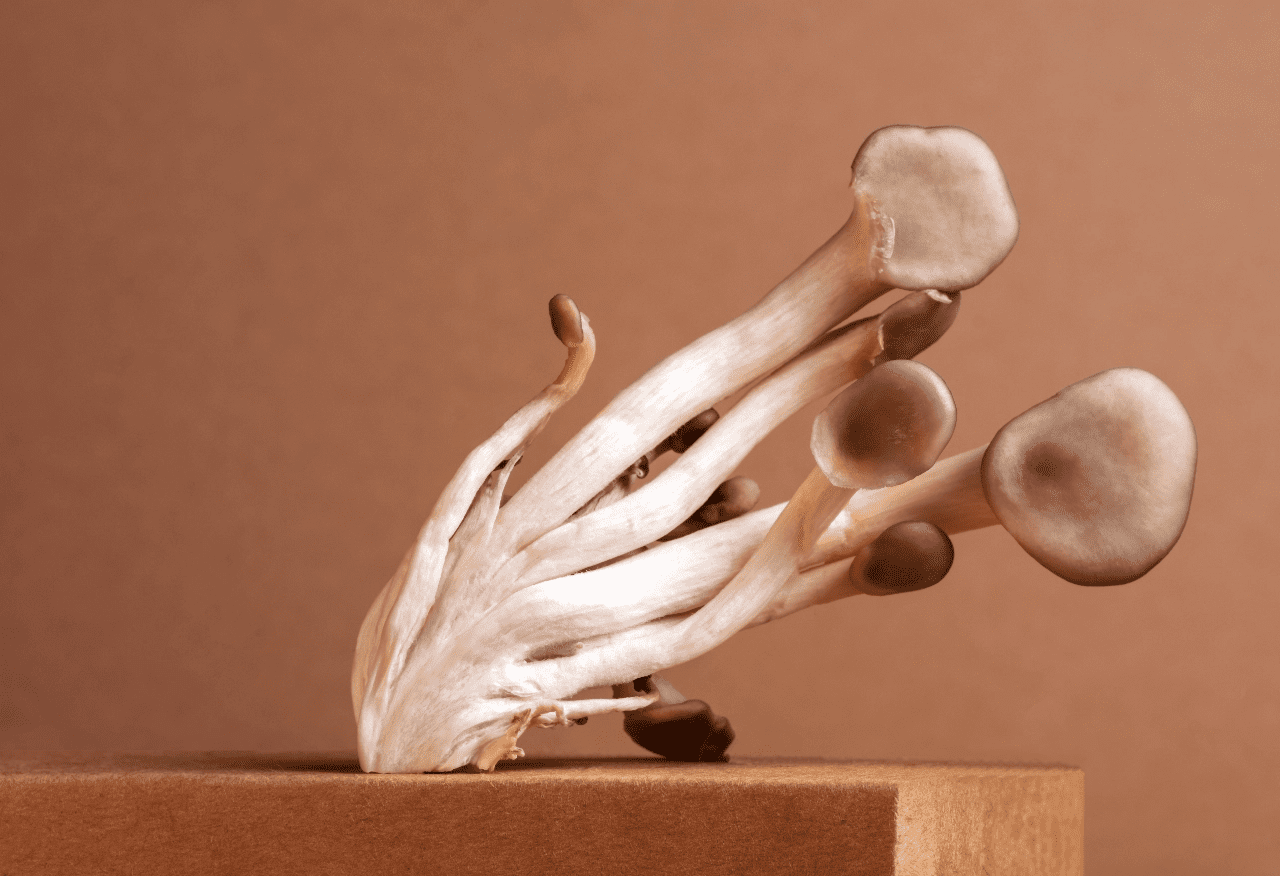TLC Acupuncture & Natural Medicine